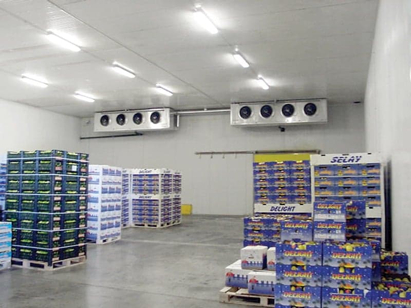 Entrepôt Frigorifique - Image 3