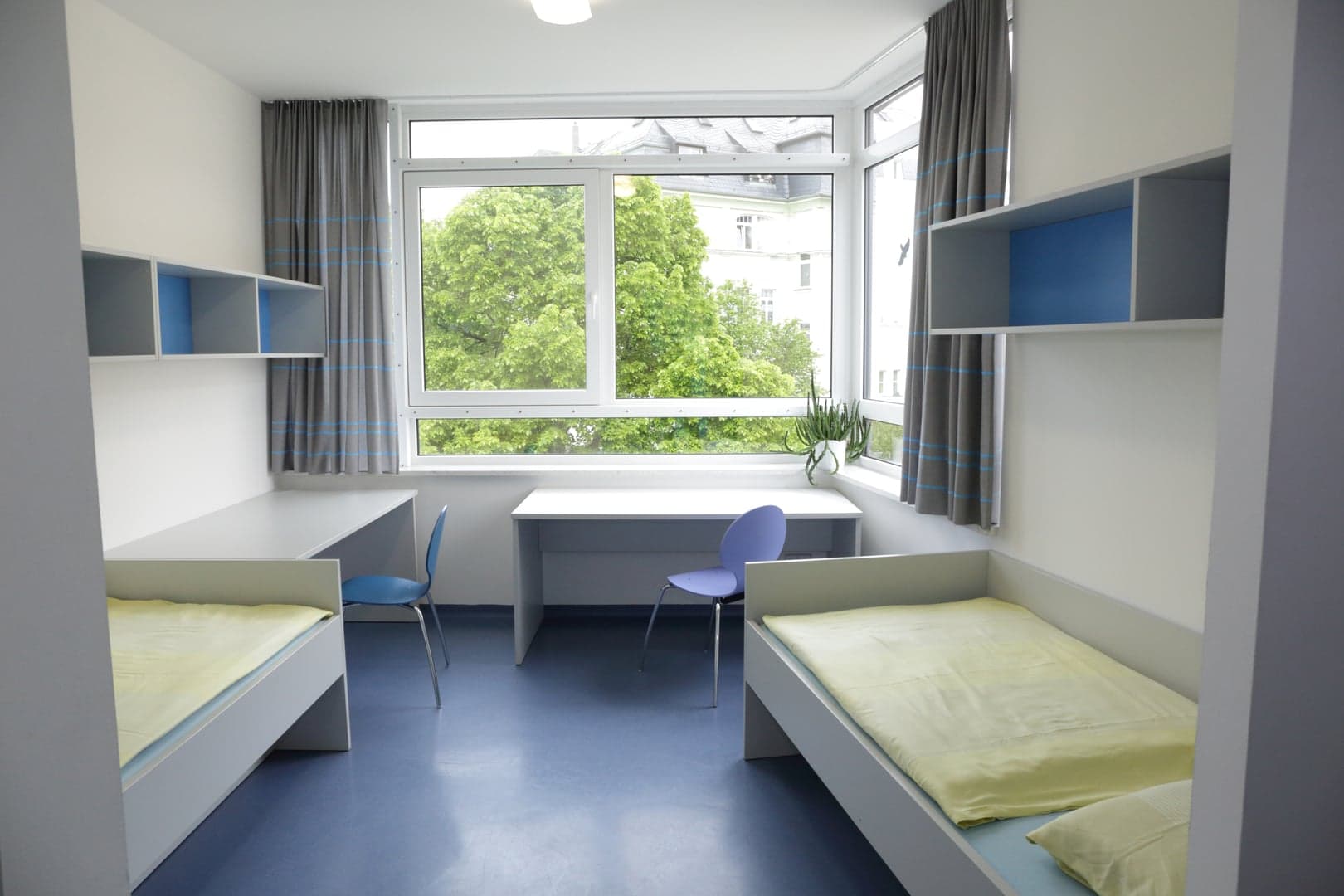 Dar Talib Bonaaman - Image 1